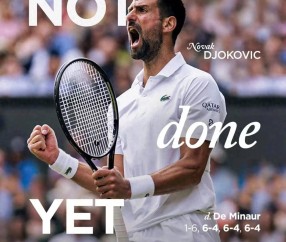 AYX-关于德约科维奇在日本队比赛中势不可挡，关键助攻引发热议！的信息