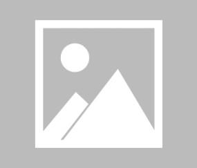 AYX-关于NBA常规赛倒计时，菲尼克斯太阳窗口期主帅复盘，细节引发关注，话题不断，赛季目标并未改变的信息